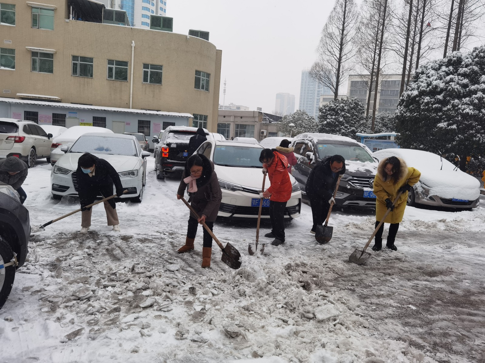 清除积雪解民忧 保障就医暖人心